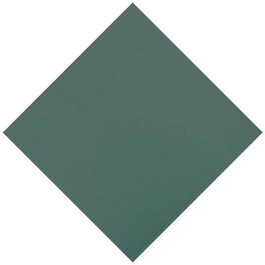 Leslie's  Original Mesh 20 x 50 Rectangle Safety Cover Green