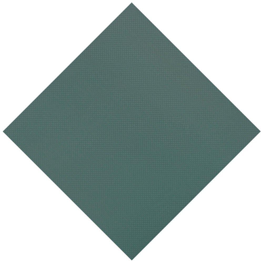 Leslie's  Original Mesh 20 x 50 Rectangle Safety Cover Green