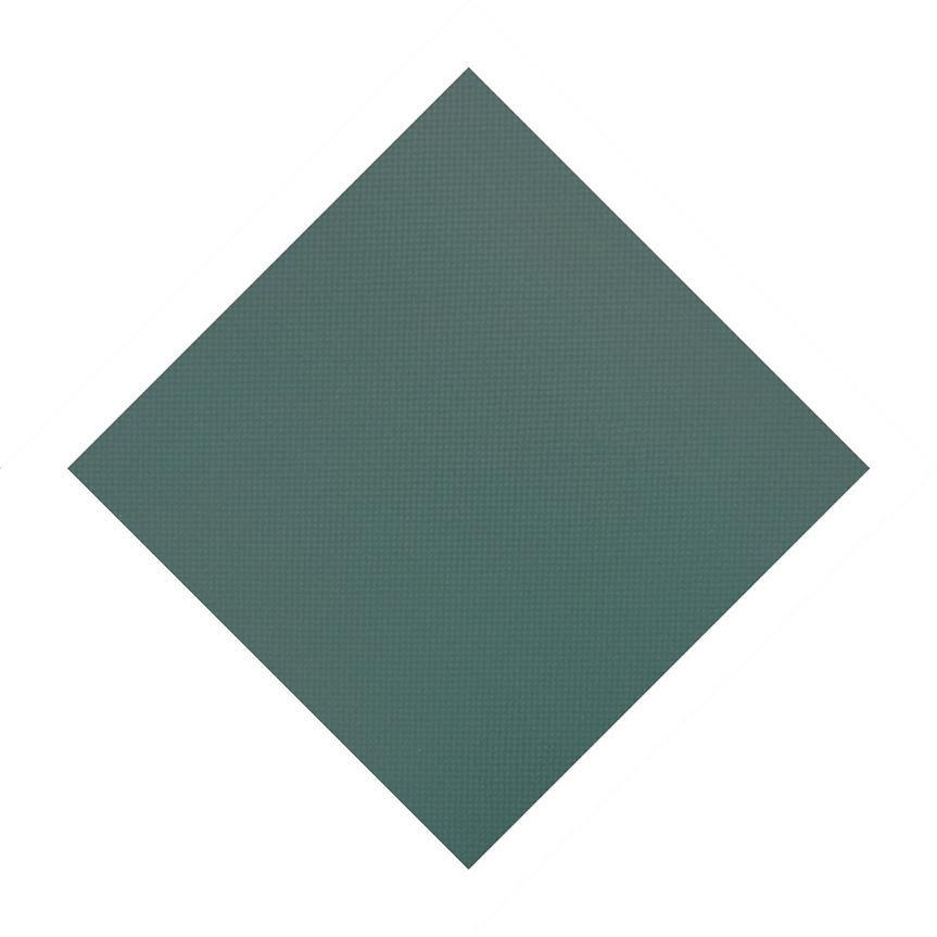 Original Mesh 30' x 60' Rectangle Safety Cover, Green