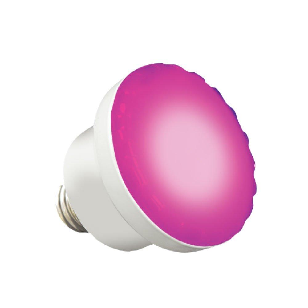 12V, 6W ColorSplash Color Changing and White LED Spa Lamp