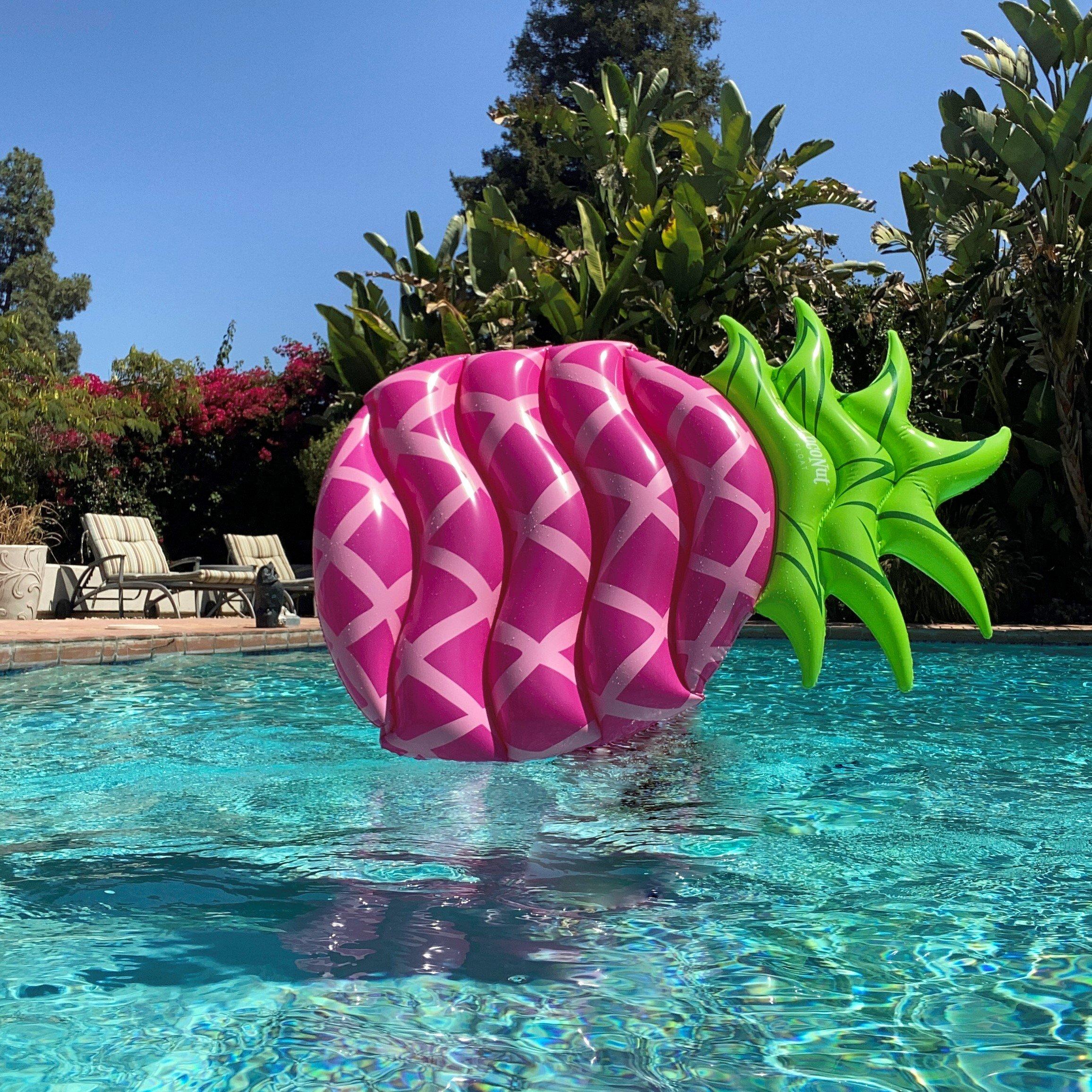 CocoNut  Pink Pineapple Pool Float