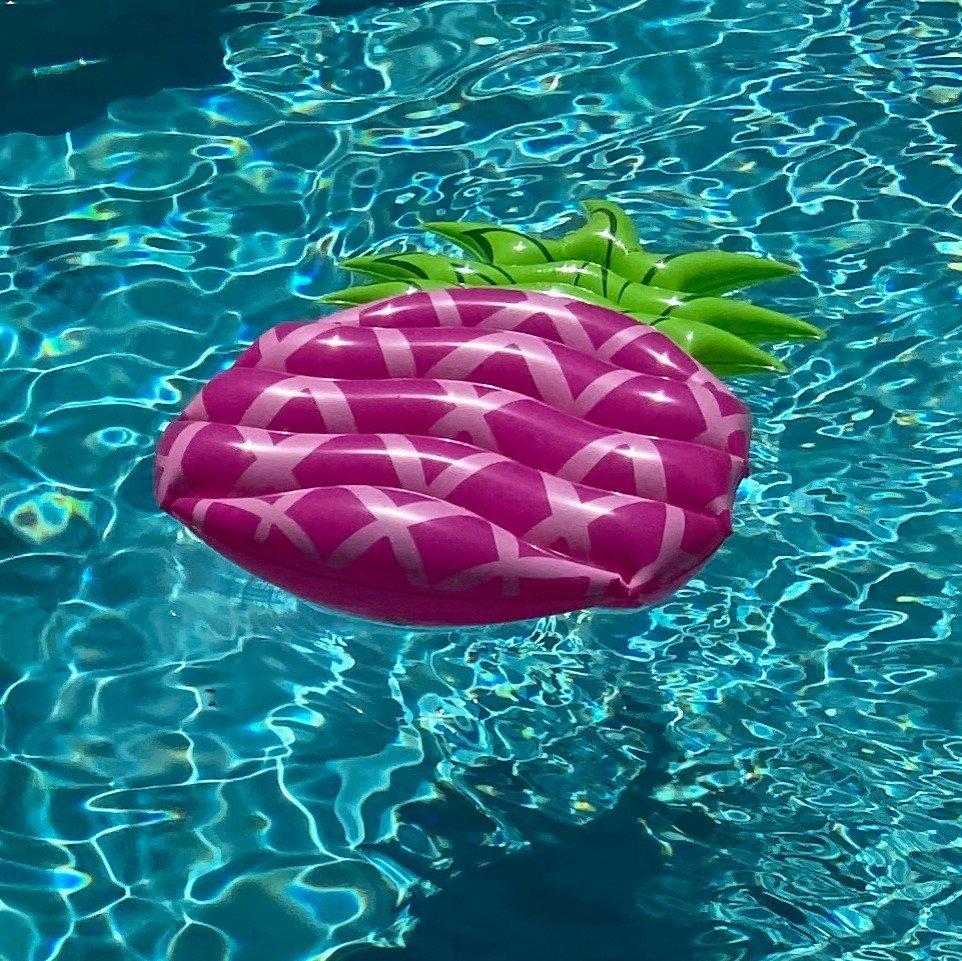 CocoNut  Pink Pineapple Pool Float