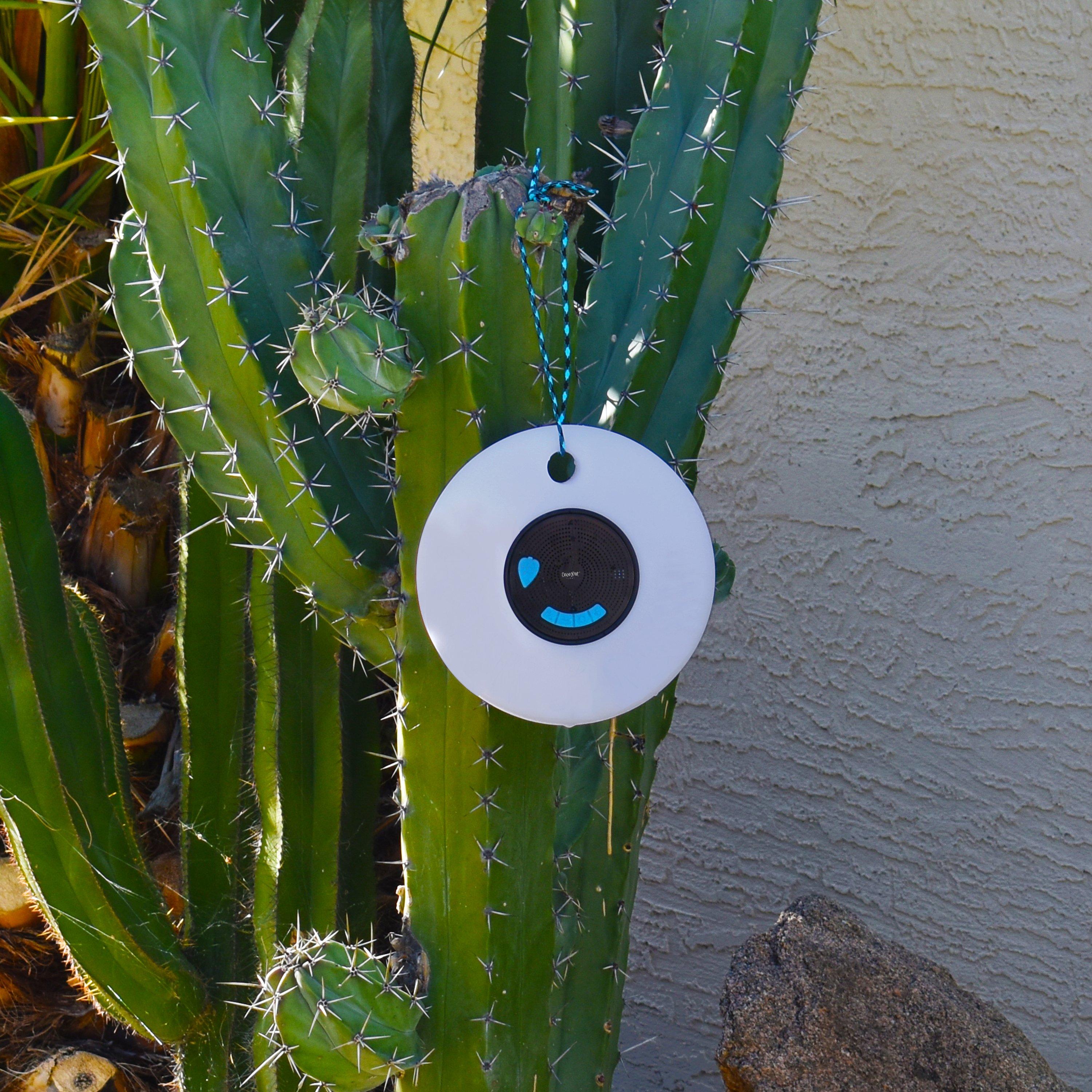 CocoNut  Floating Bluetooth Speaker with LED Lights