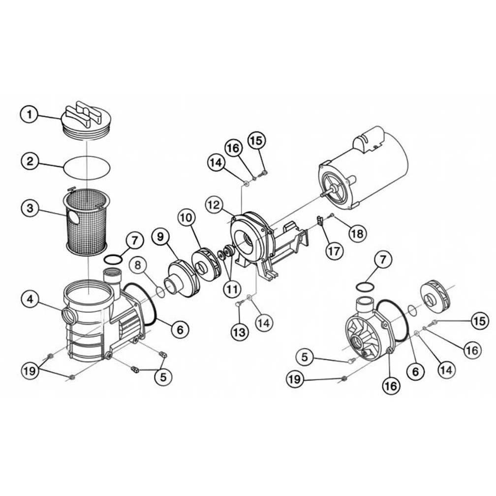 Pentair Eagle Pool Pump Parts