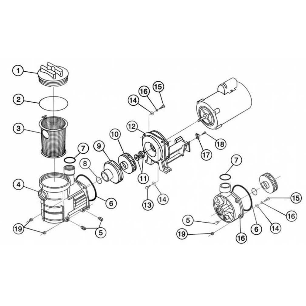 Pentair  Pentair Eagle Pool Pump Parts
