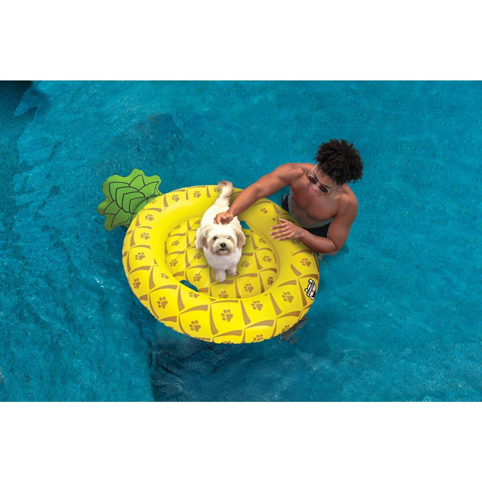 BigMouth  Pets Pineapple Pool Float