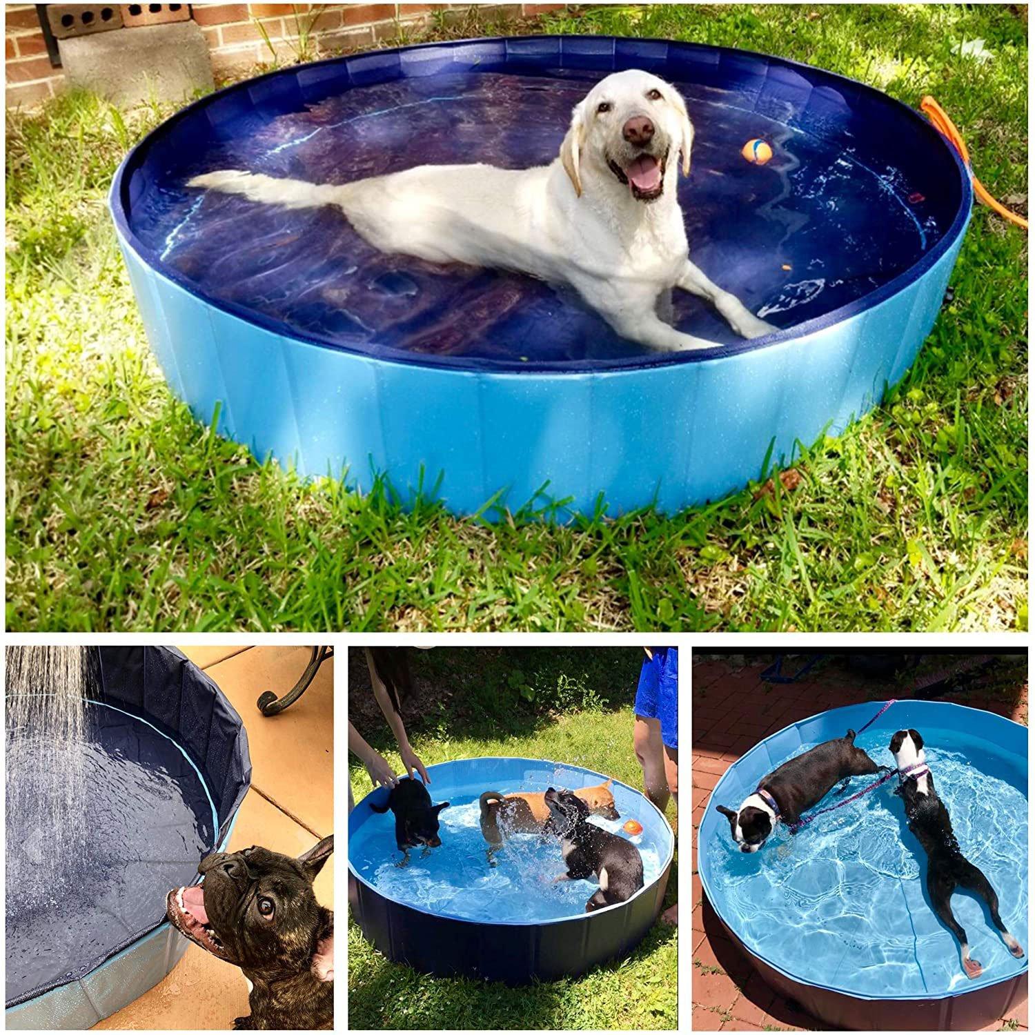 Large Round Portable Pet Pool, Blue, 47 in. x 12 in.
