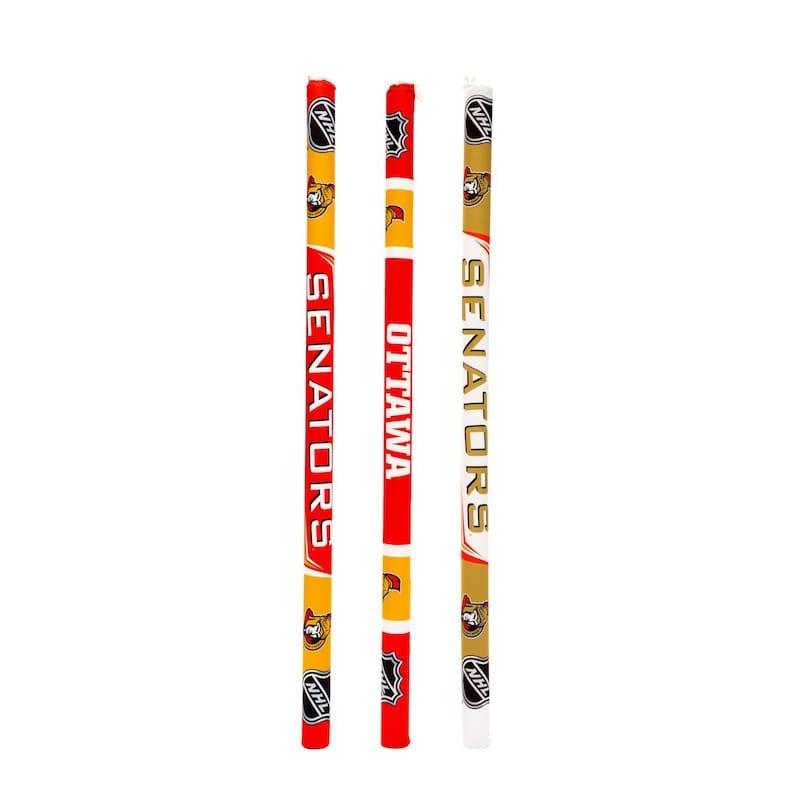 BT Swim Ottawa Senators Pool Noodle 3 Pack Leslie's Pool Supplies