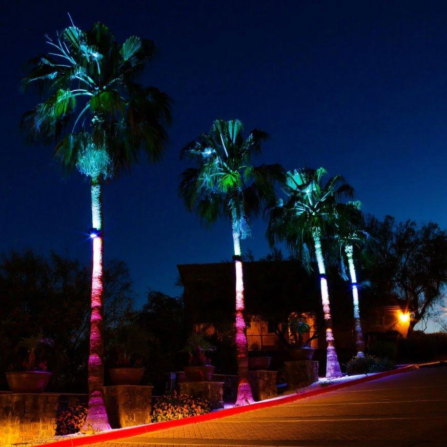 Palm Tree Light Color Changing 20W 120V