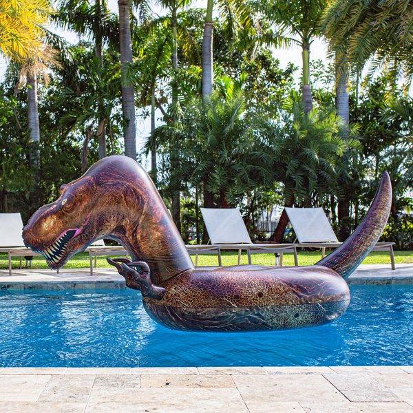 Dinosaur pool hot sale float