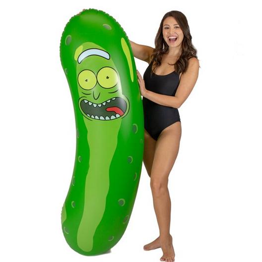 Rick and Morty Pickle Pool Noodle