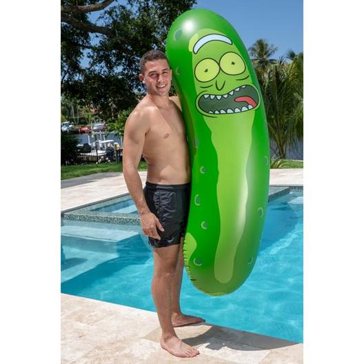 Rick and Morty Pickle Pool Noodle