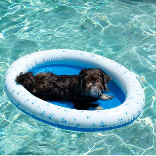 Pool Candy  PC2301BL-F Inflatable Pet Float