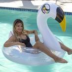 PoolCandy  Swan Glitter Pool Float 48 with Drink Holders