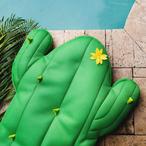 Big Joe  Cuddly Cactus Pool Float