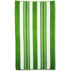 Leslie's  Sorento Stripe Pool Towel Lime