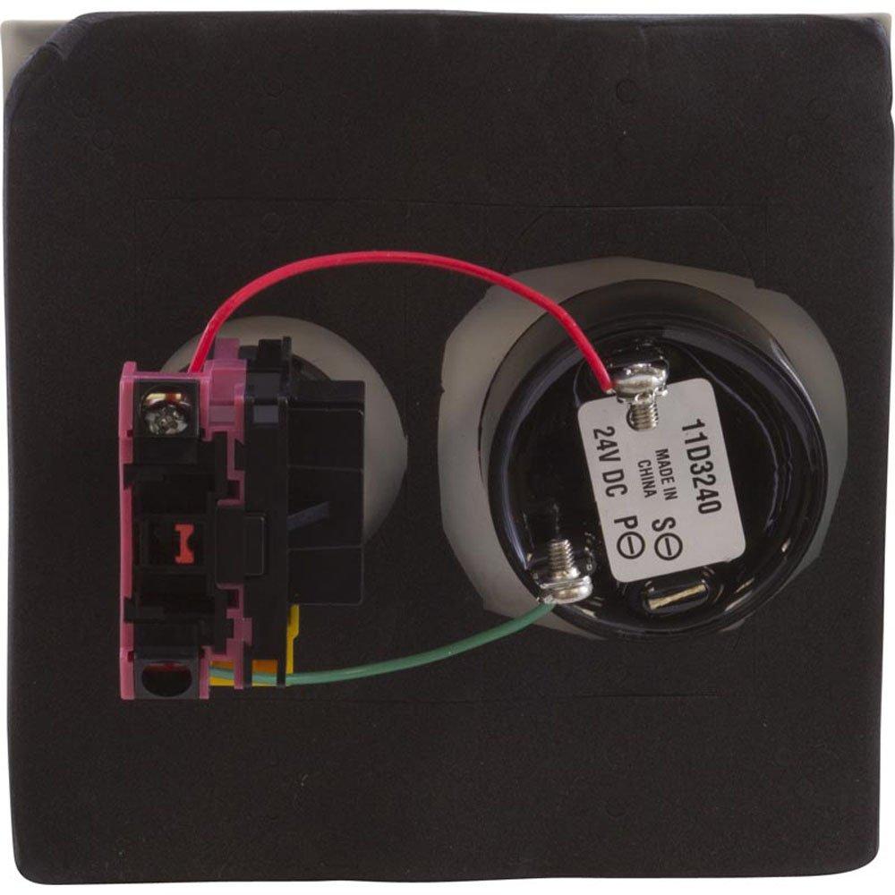 Pentair - Shut Off Switch with Alarm, Double Plate