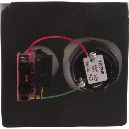 Pentair  Shut Off Switch with Alarm Double Plate