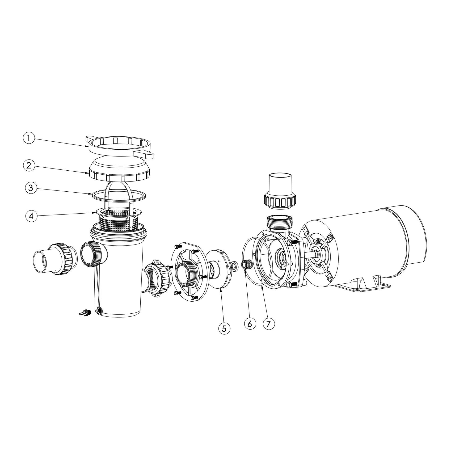 Raypak - Protege RPAGP Above Ground Pool Pump Parts