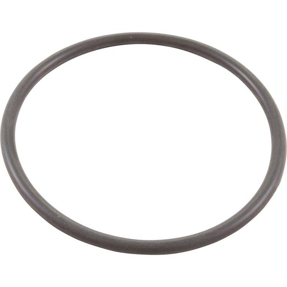 Captain O-Ring – Replacement SPX2300Z4 Strainer Cover O-Ring