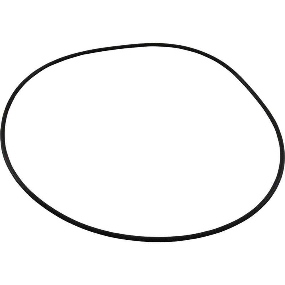 O-RING BOOSTER PUMP WATERWAY