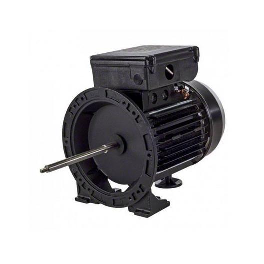 Pentair  Complete Motor Assembly for Pentair Boost-Rite Booster Pumps