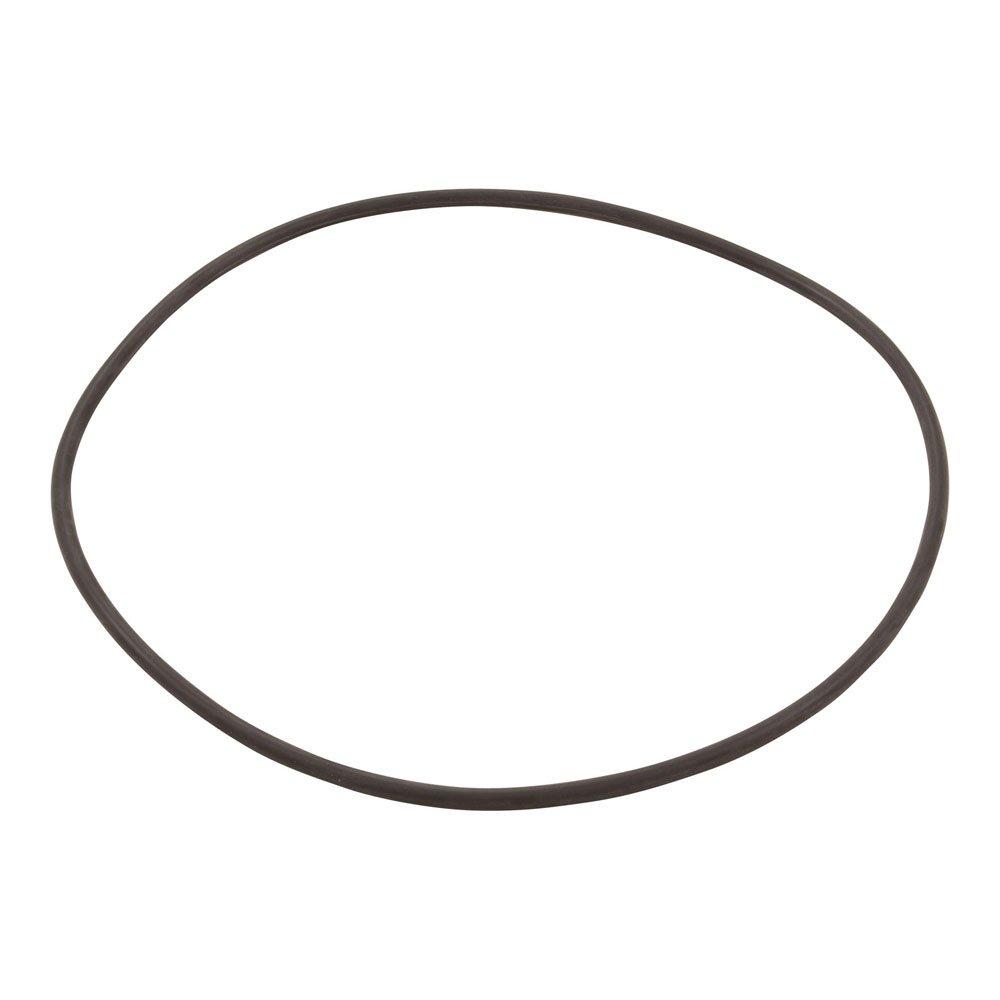 Hayward  O-Ring for Filter Head