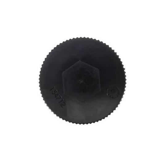 Pentair  Drain Cap