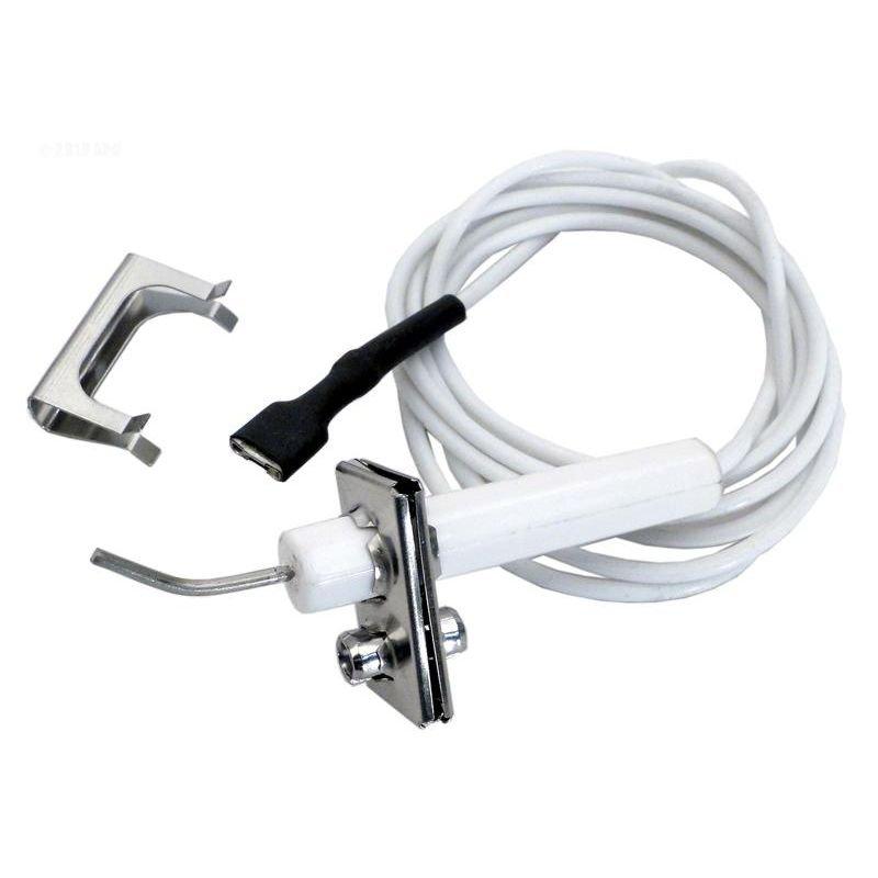 Pentair  Pilot Electrode Only