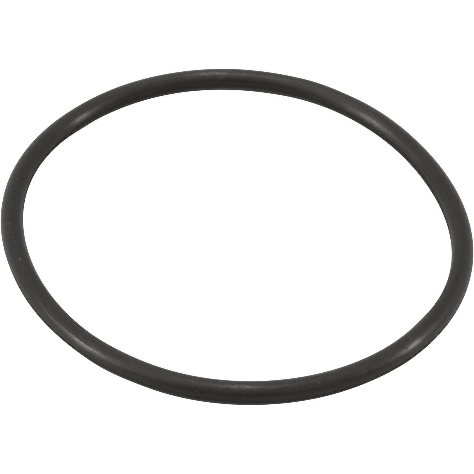 Jandy  Pro Series TruClear Chlorinator O-Ring