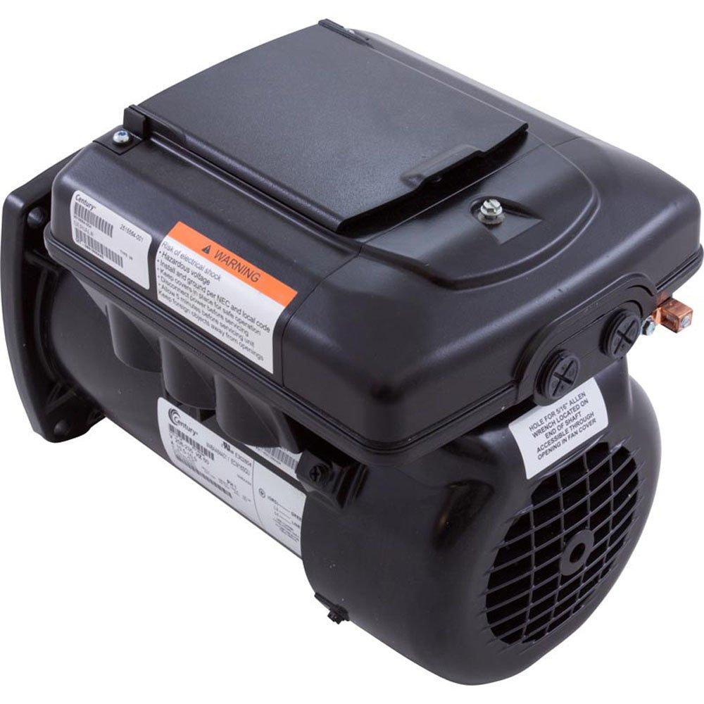 Century  Pool Motor 208V-230V Variable Speed 48fr Square Flange V-Green
