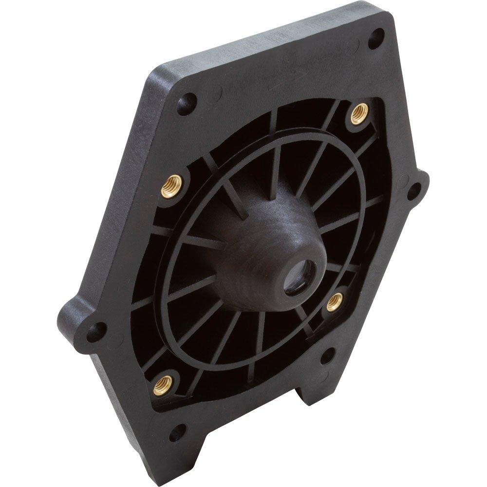 Jacuzzi  SEAL PLATE