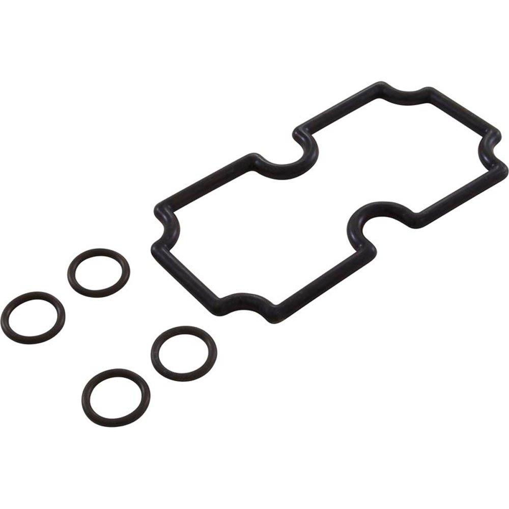 Pentair  O-Ring Kit Pentair MasterTemp 125 Coil/Tubesheet Sealing