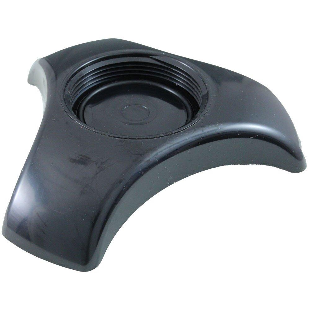 Acid Wash Cleaning Stand, Pentair iChlor