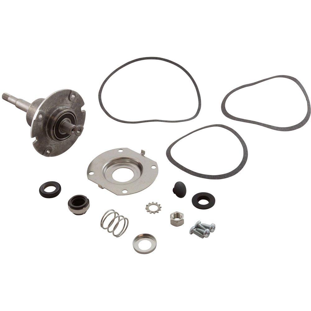 Lochinvar  Pump Bearing Kit Lochinvar