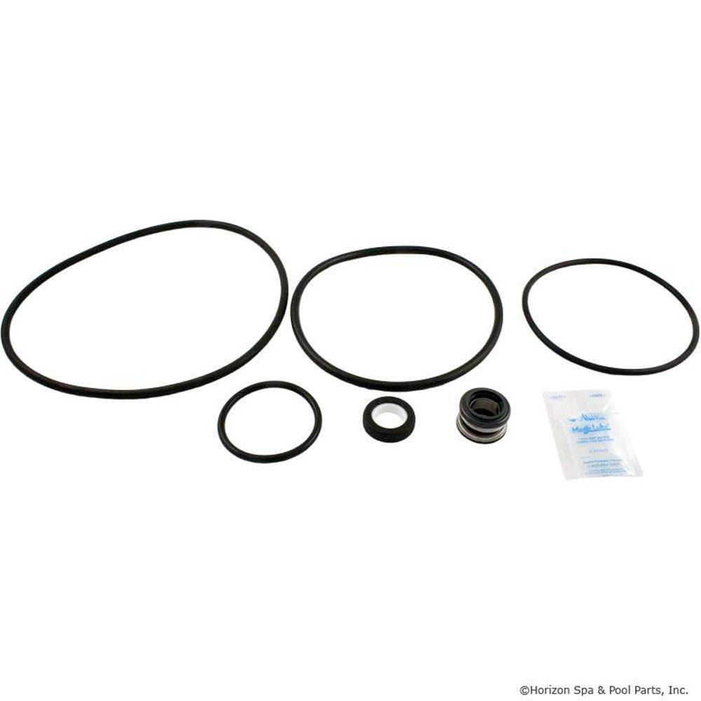 GO-KIT 47 Sta-Rite Dyna Glas Pump O-Ring Kit