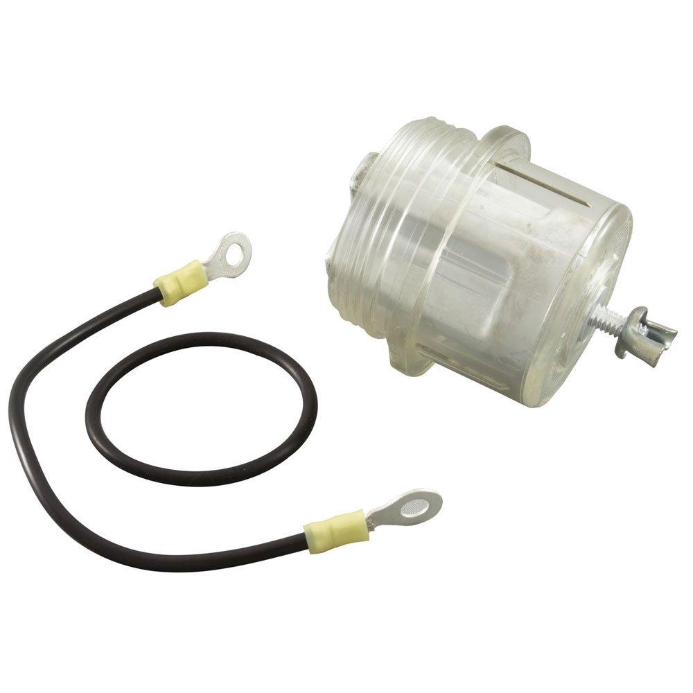 Protek Shield, Raypak 206A406A In The Swim