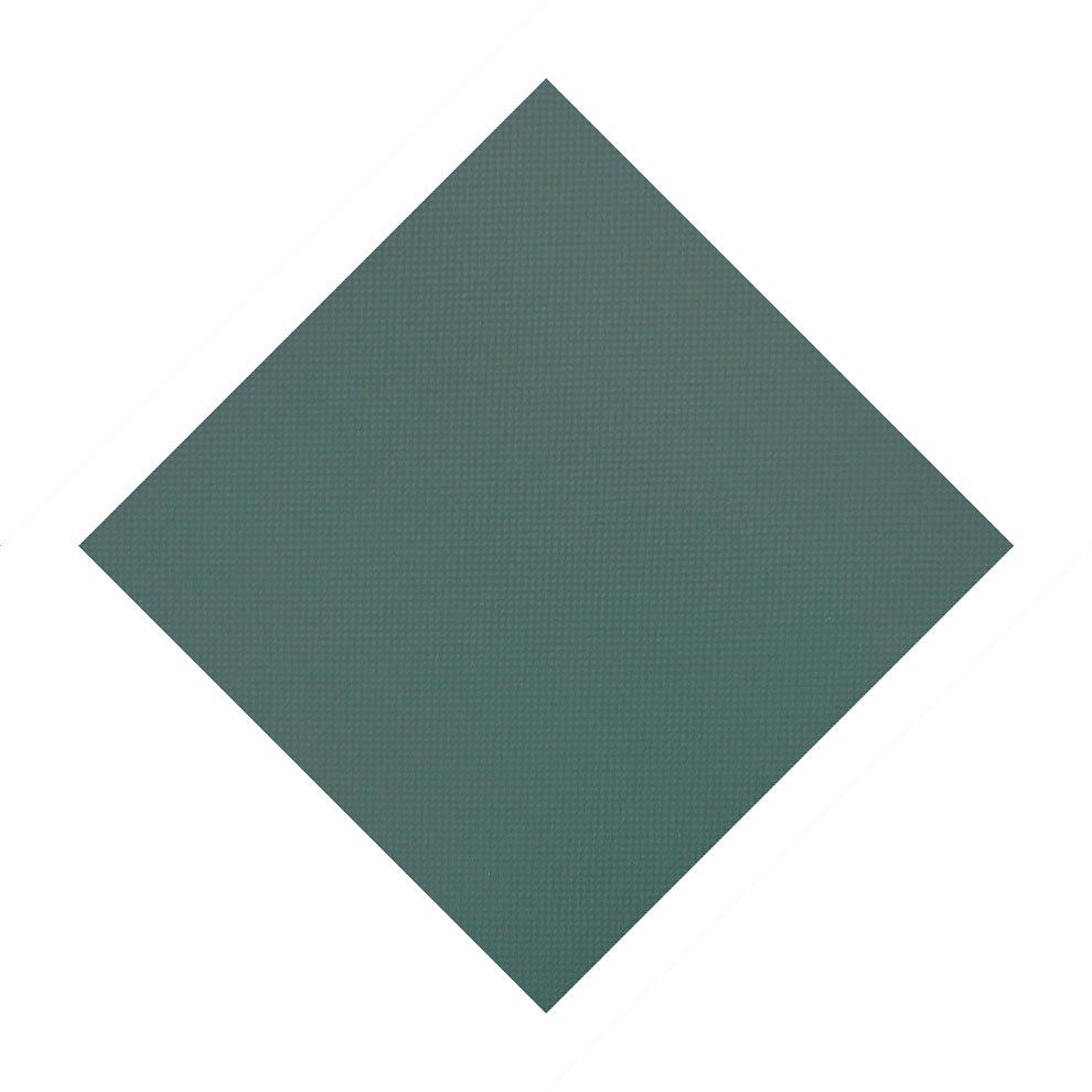 GLI  Mesh Safety Cover 20x40 ft Rectangle with 4x8 Right Side Step Green