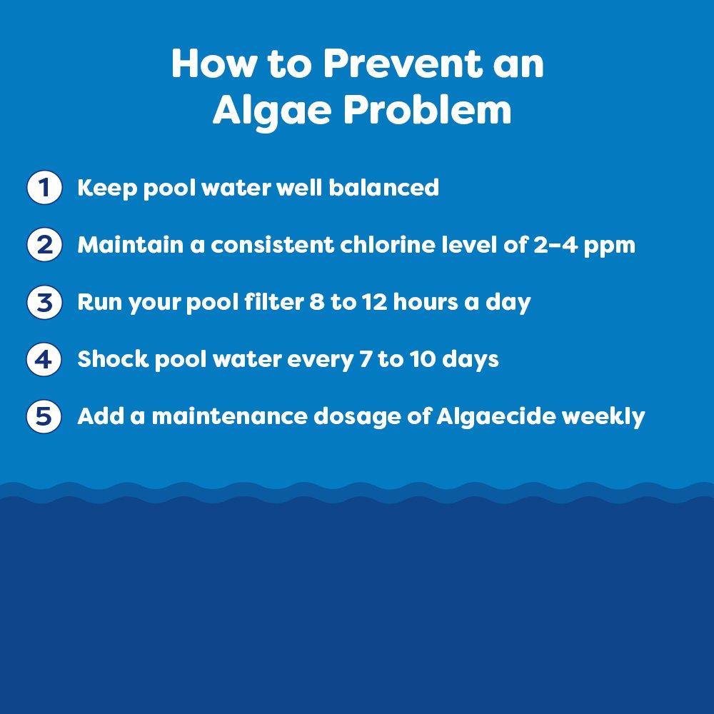 In The Swim  Algae-Clear Algaecide  Clarifier 2 x 1/2 gallons