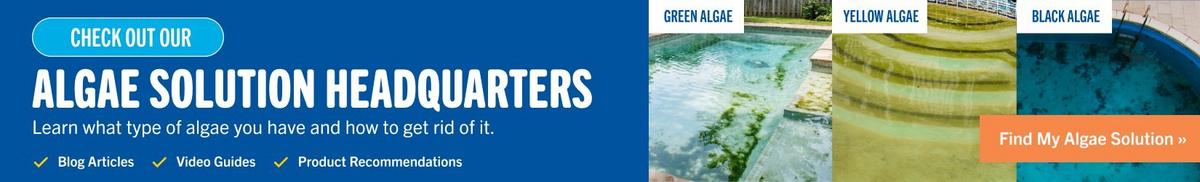 Algae Solutions informational page
