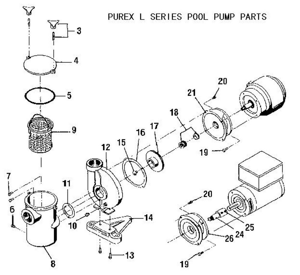 "L" Series Pool Pump image