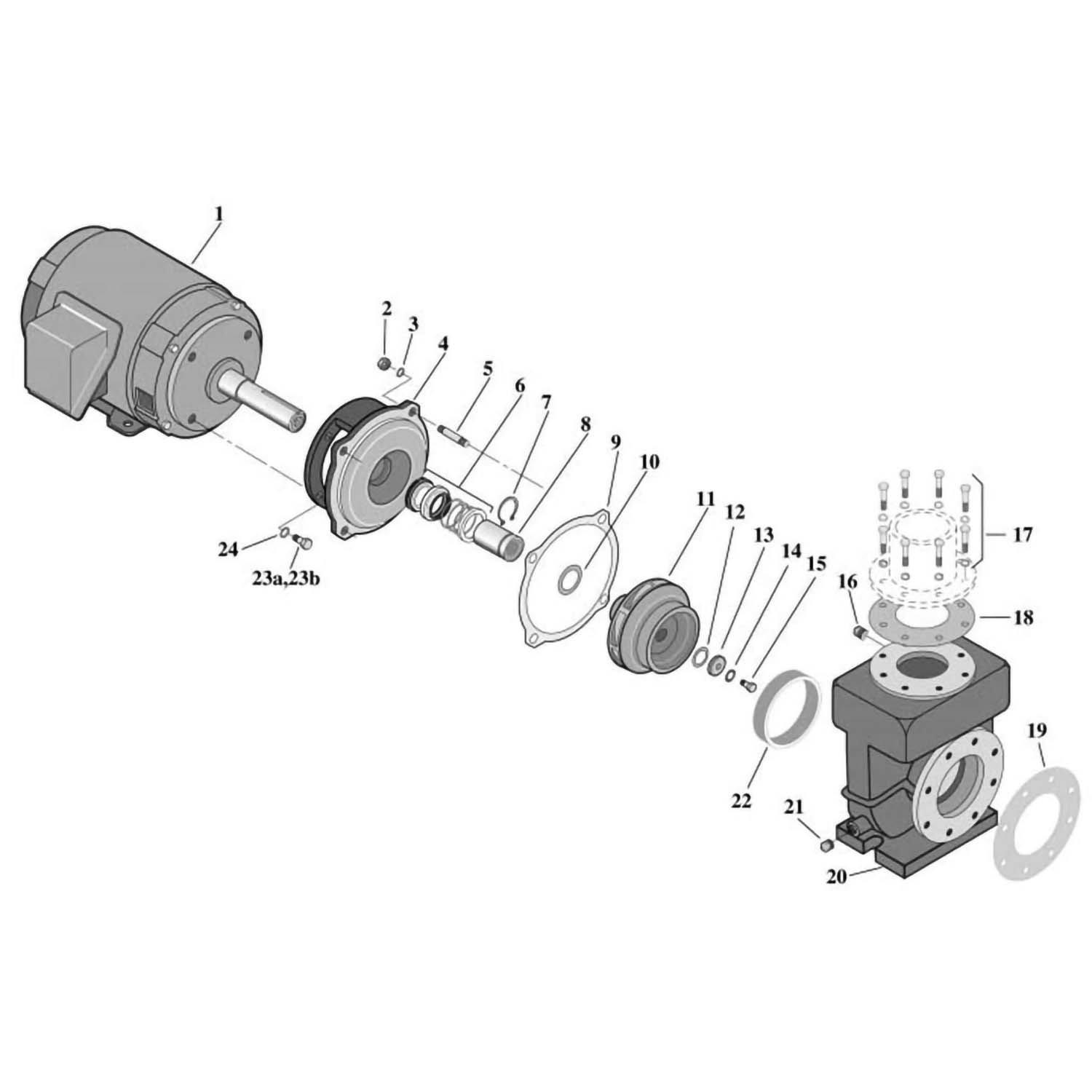 Sta-Rite CSPH/CCSPH Series - Centrifugal Pump Part Schematic