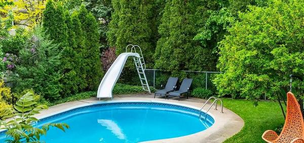 An image of Best & Worst Trees to Plant Around a Pool
