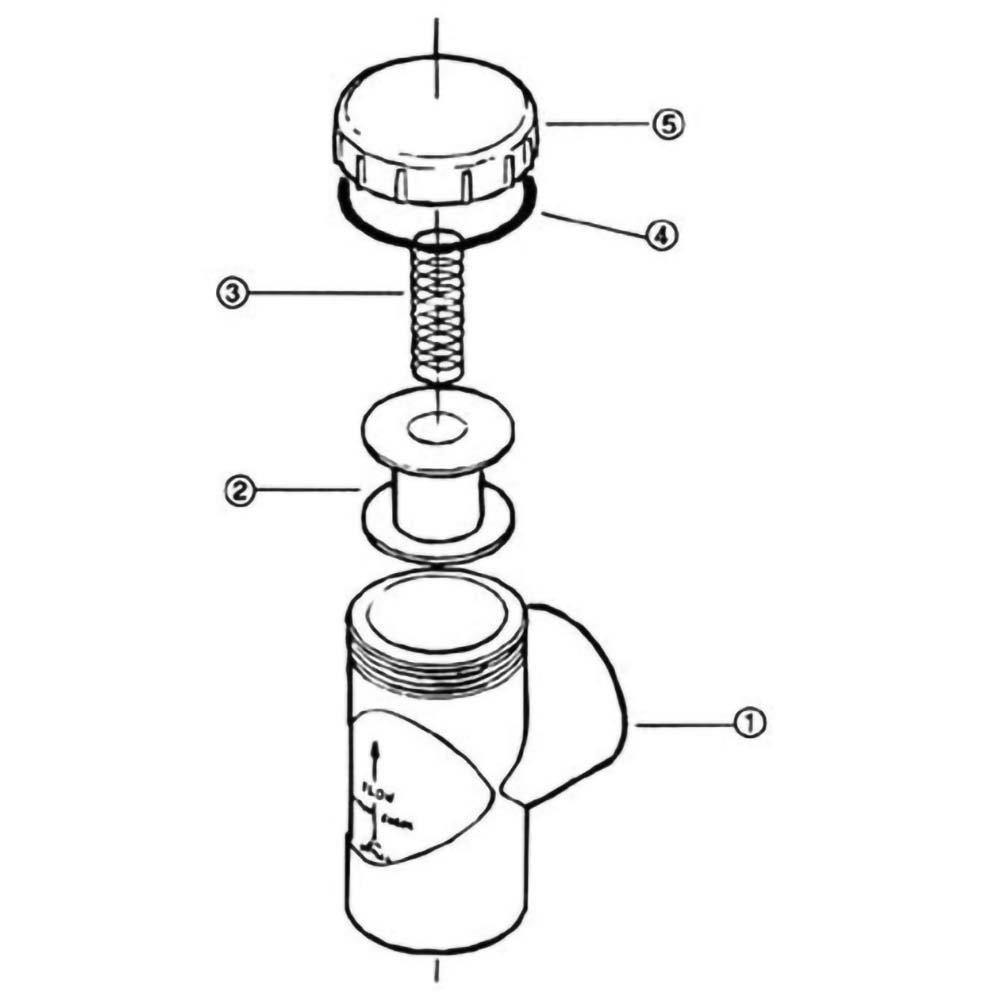 Pentair Ortega Spring Check Valve Parts