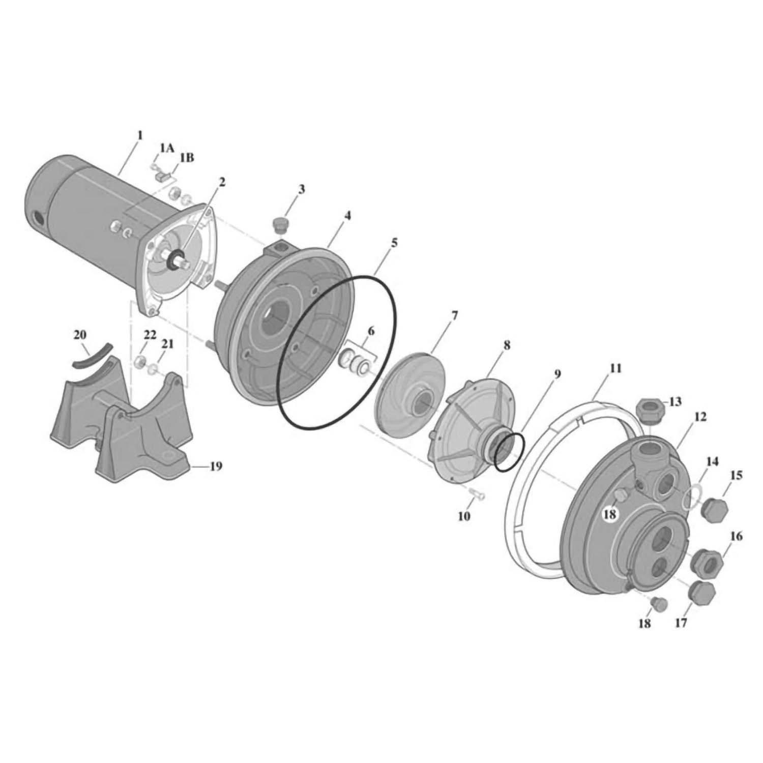 Sta-Rite PLBC Pump Parts Breakdown