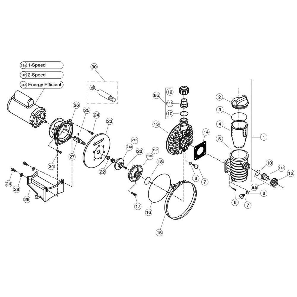 Aqua-Flo Dominator Medium Head Pump Parts