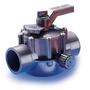 Gray Two Port Valve 2in.-2 1/2in. Positive Seal