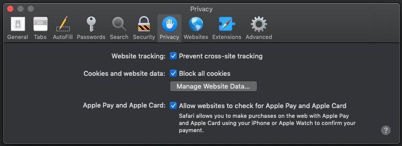 A screenshot of the Privacy section.