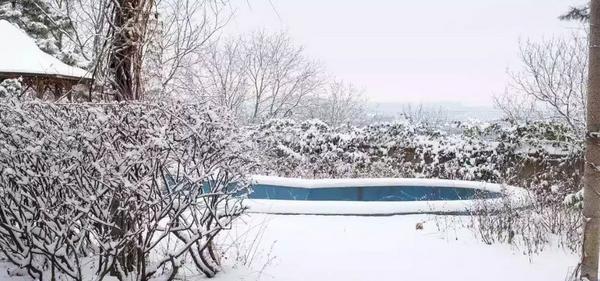 An image of What Happens If I Don’t Close My Pool For Winter?