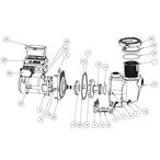 Sta-Rite IntelliPro Series IntelliPro VS  SVRS Pump Parts